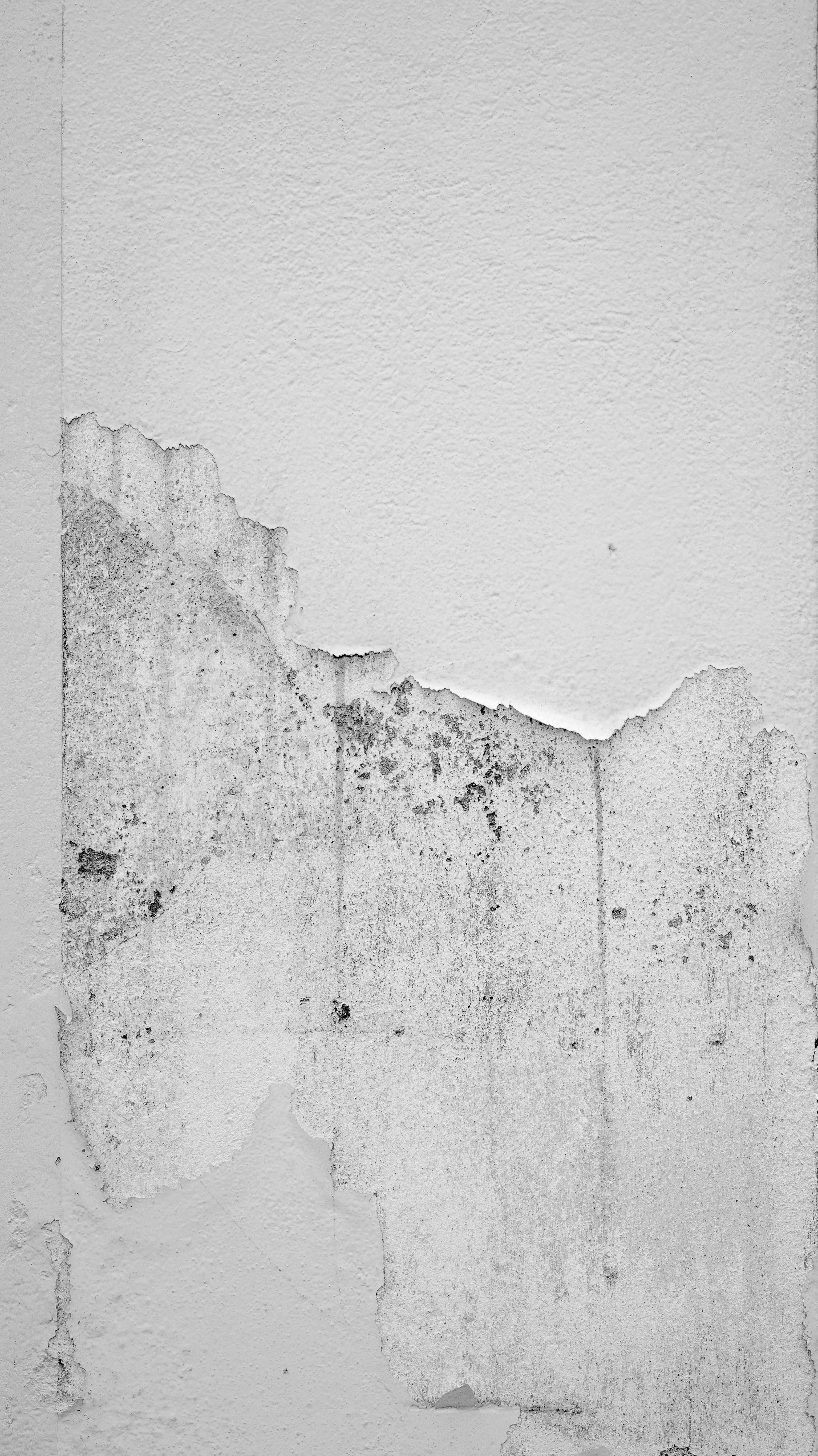 Water damage insurance claim
